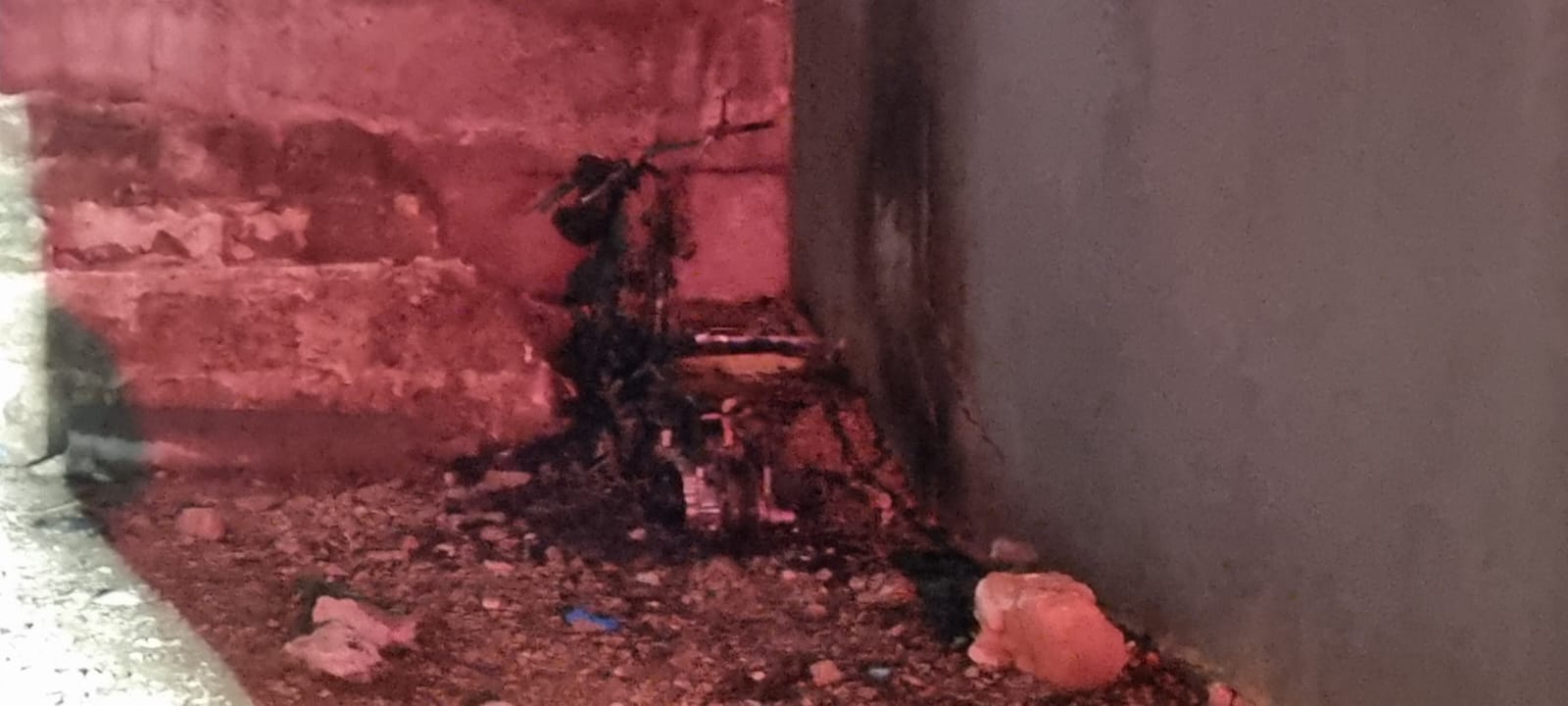 WhatsApp Image 2022-03-25 at 11.38.41 PM.jpeg